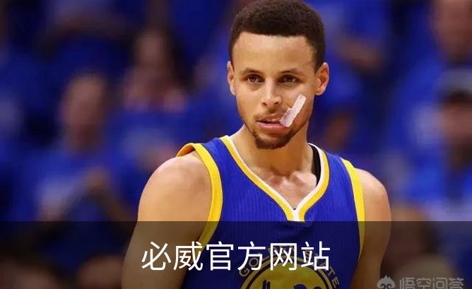 必威官方网站简介